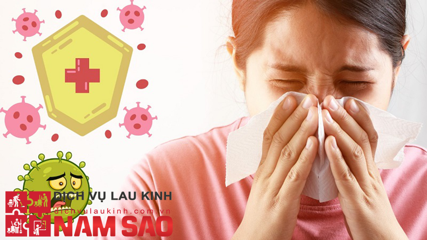 Nghệ Thuật Lau Kính Thời Hiện Đại
