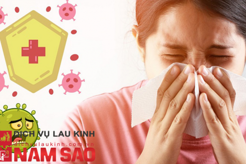 Nghệ Thuật Lau Kính Thời Hiện Đại